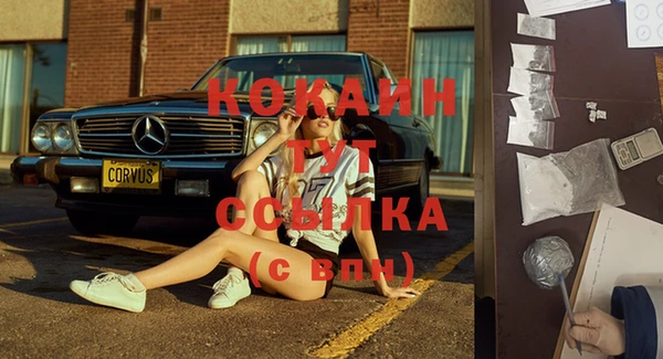 стаф Нягань