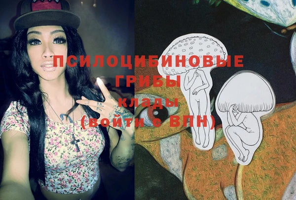 стаф Нягань